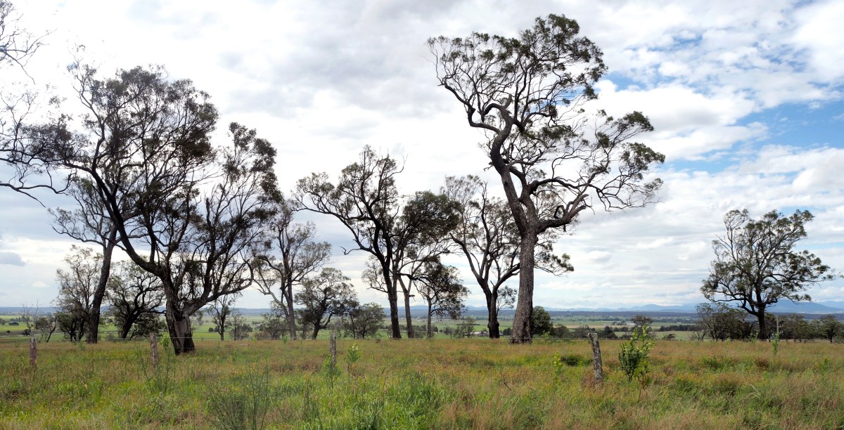 Edmund Bull – New Freugh&nbsp;Station