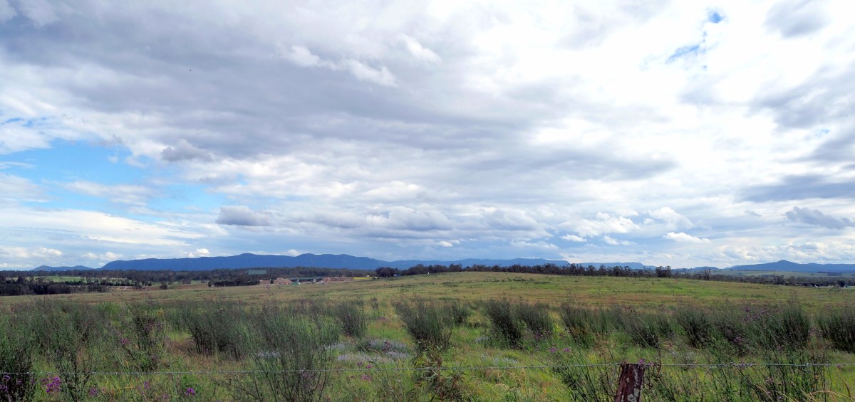 New Freugh to&nbsp;Waratah