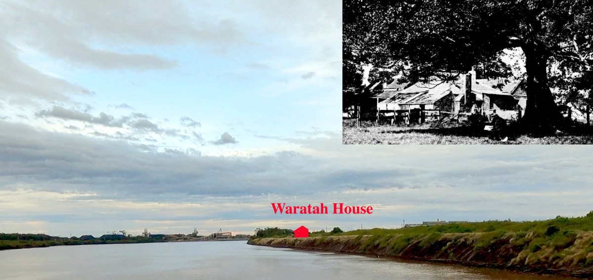 Waratah House – Myths, Legends and&nbsp;Facts